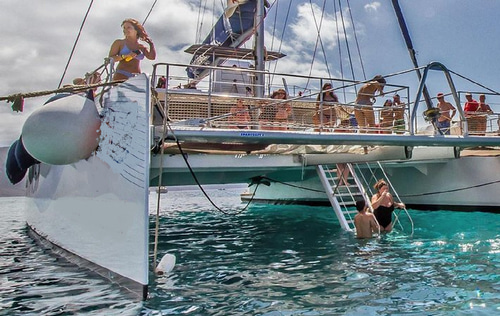 2013 Astilleros Port Pin-Rolland Gran Catamaran de Vela y Motor zu chartern (photo 4)