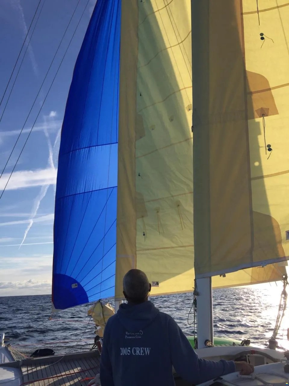 2015 Wharram Tiki 38 in vendita (photo 14)