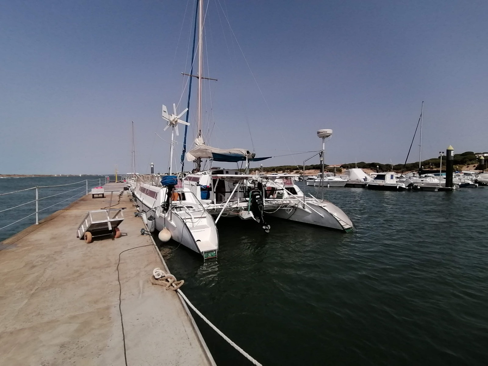 1992 Edelcat Edelcat en venta (photo 6)