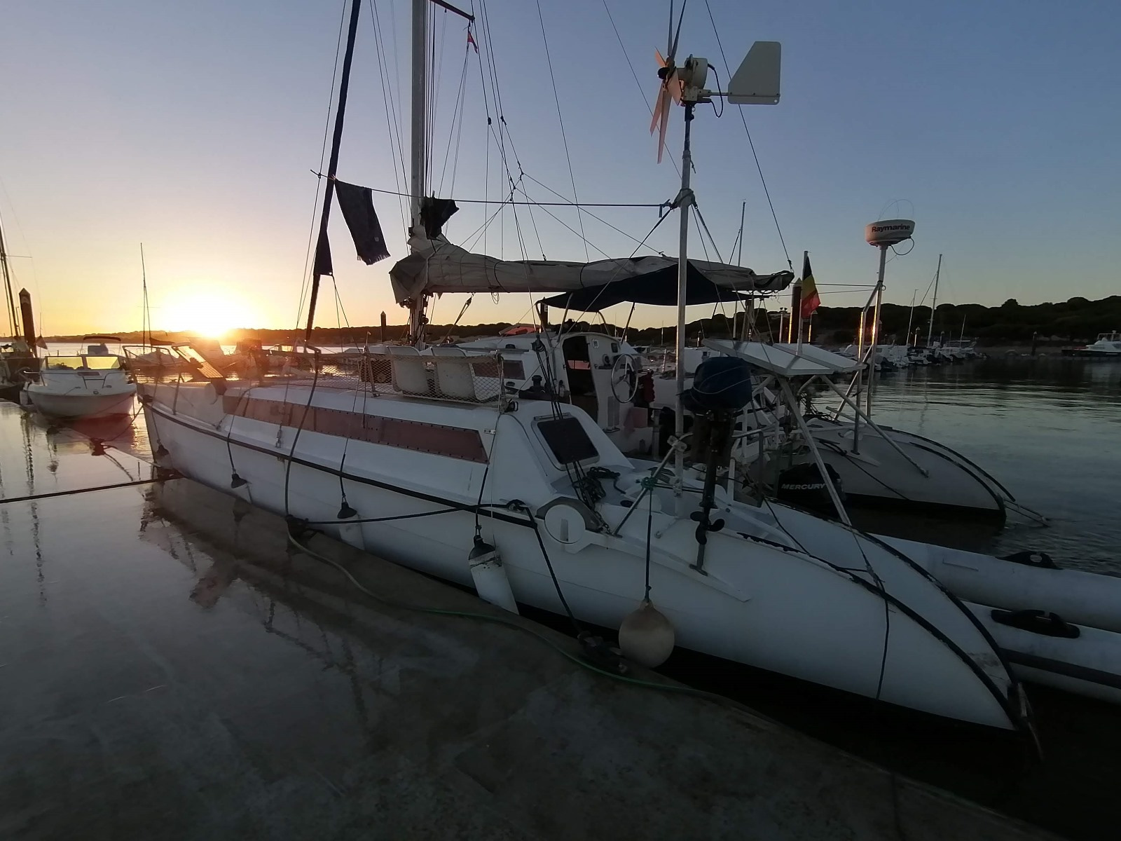 1992 Edelcat Edelcat en venta (photo 8)