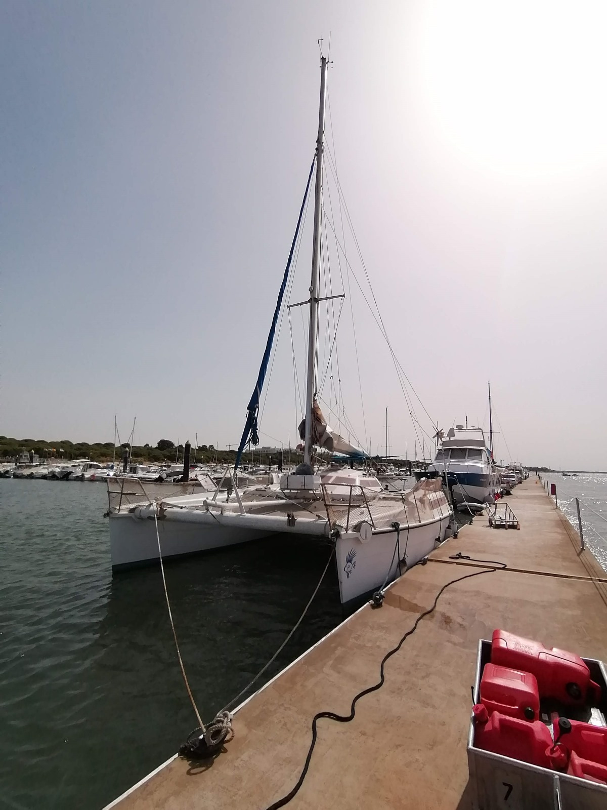 1992 Edelcat Edelcat en venta (photo 9)