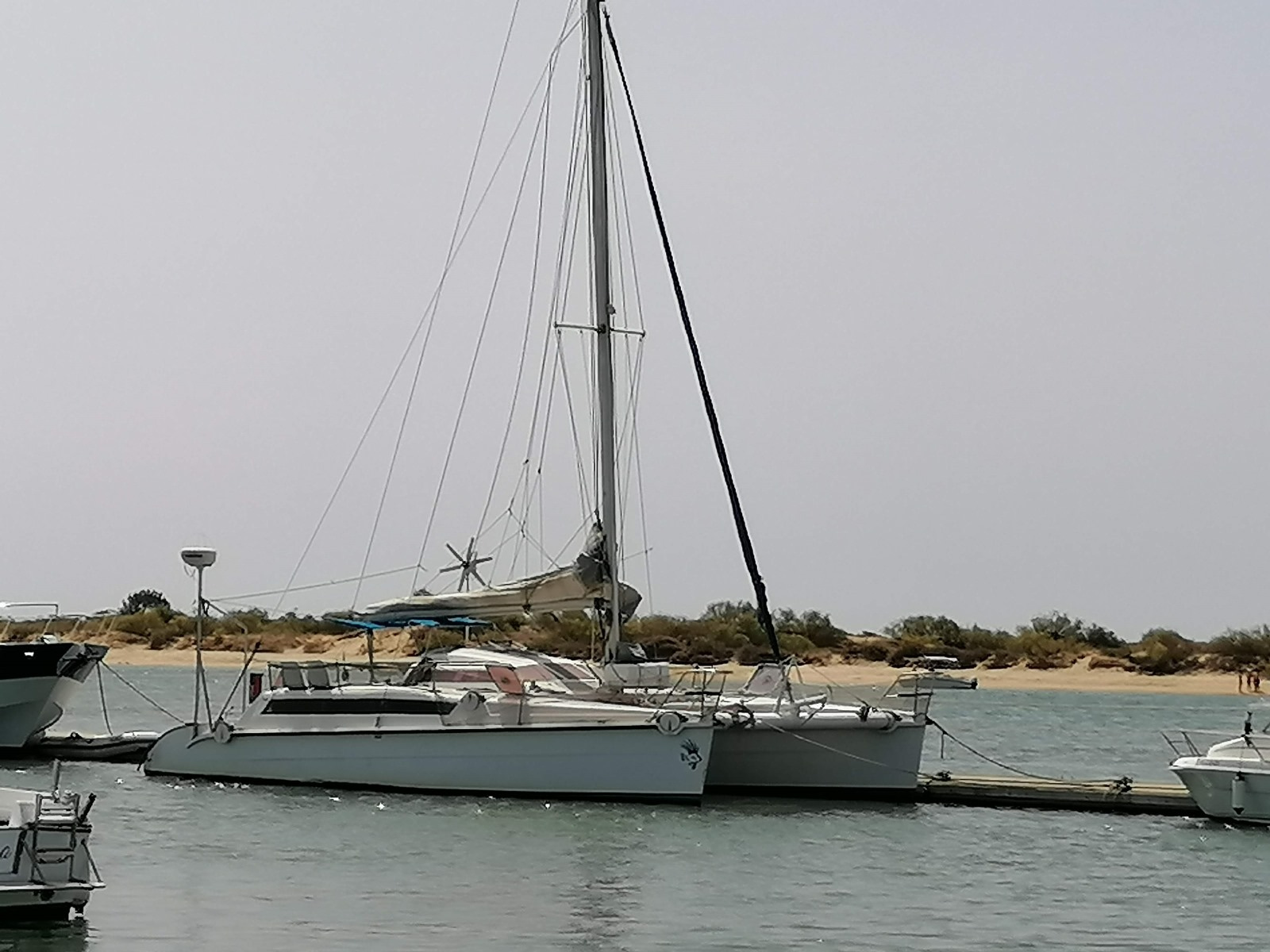 1992 Edelcat Edelcat en venta (photo 10)