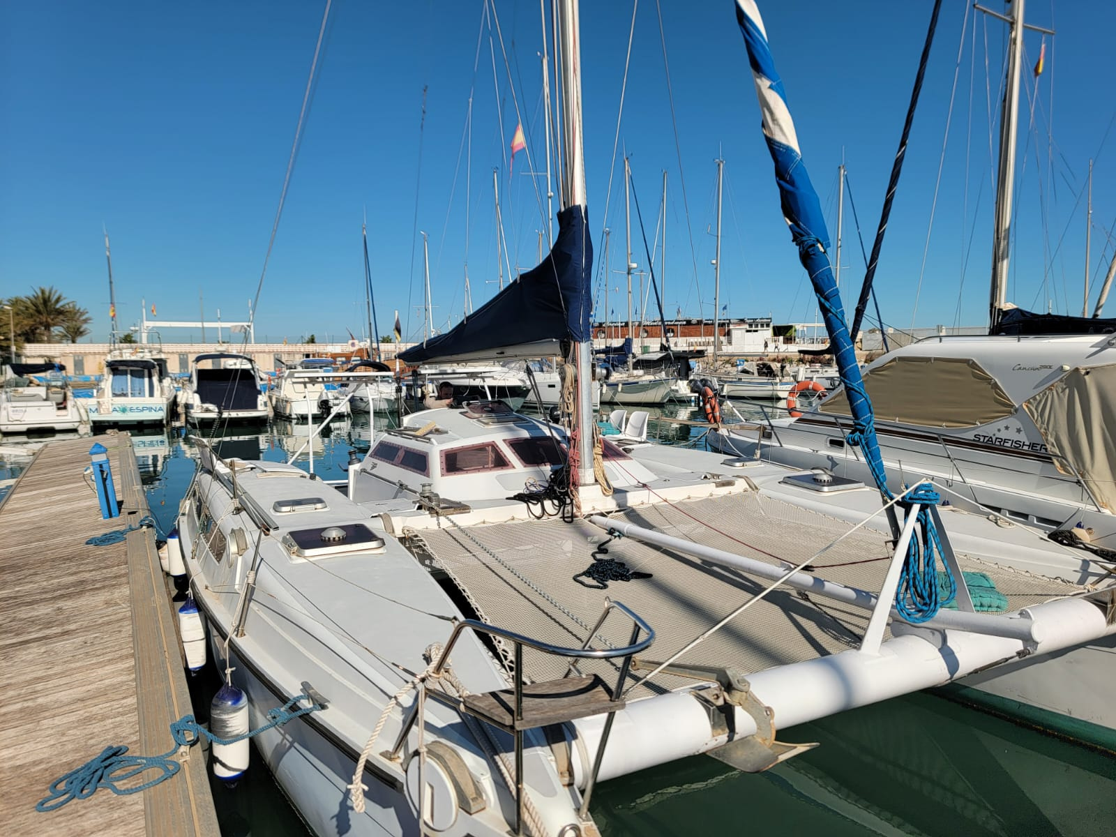 1992 Edelcat Edelcat en venta (photo 11)