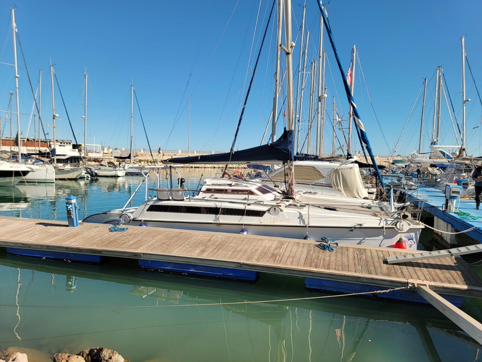 1992 Edelcat Edelcat en venta (photo 12)