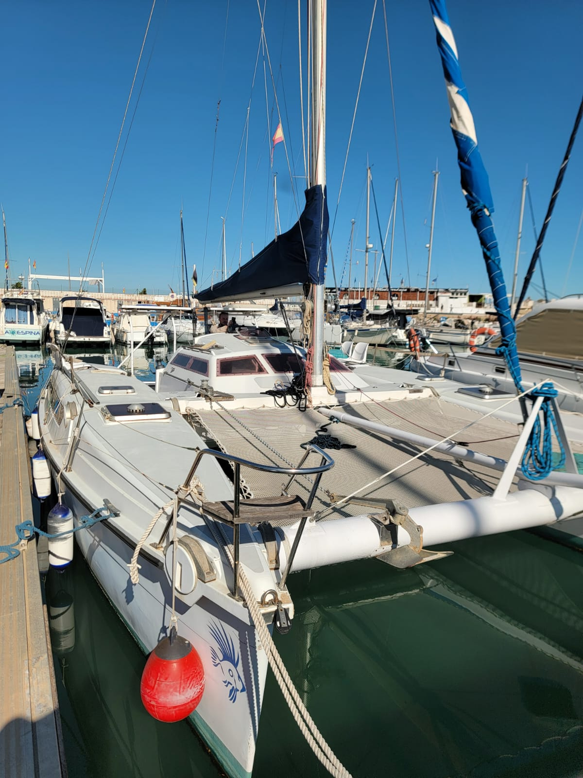 1992 Edelcat Edelcat en venta (photo 15)
