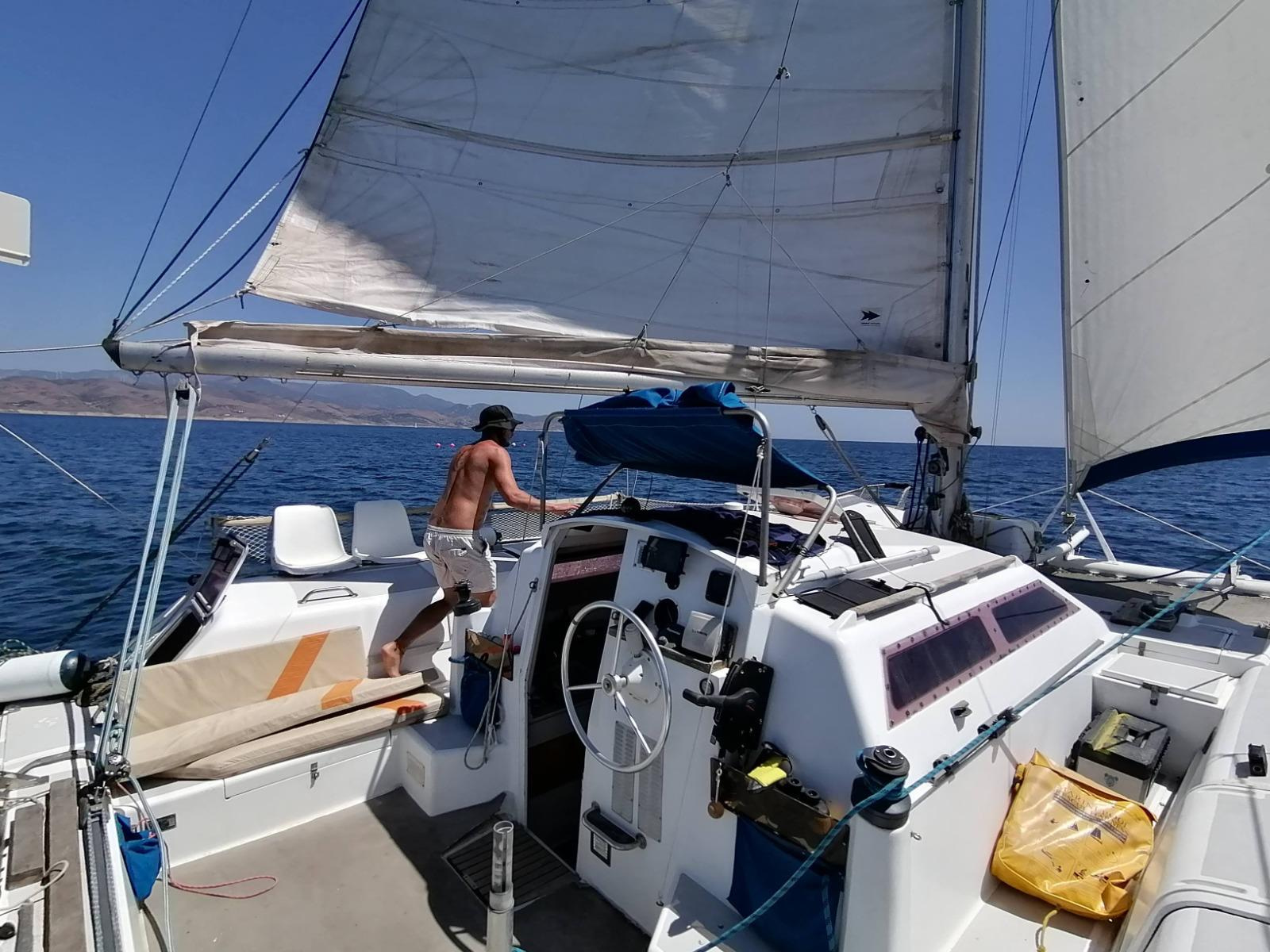 1992 Edelcat Edelcat en venta (photo 17)