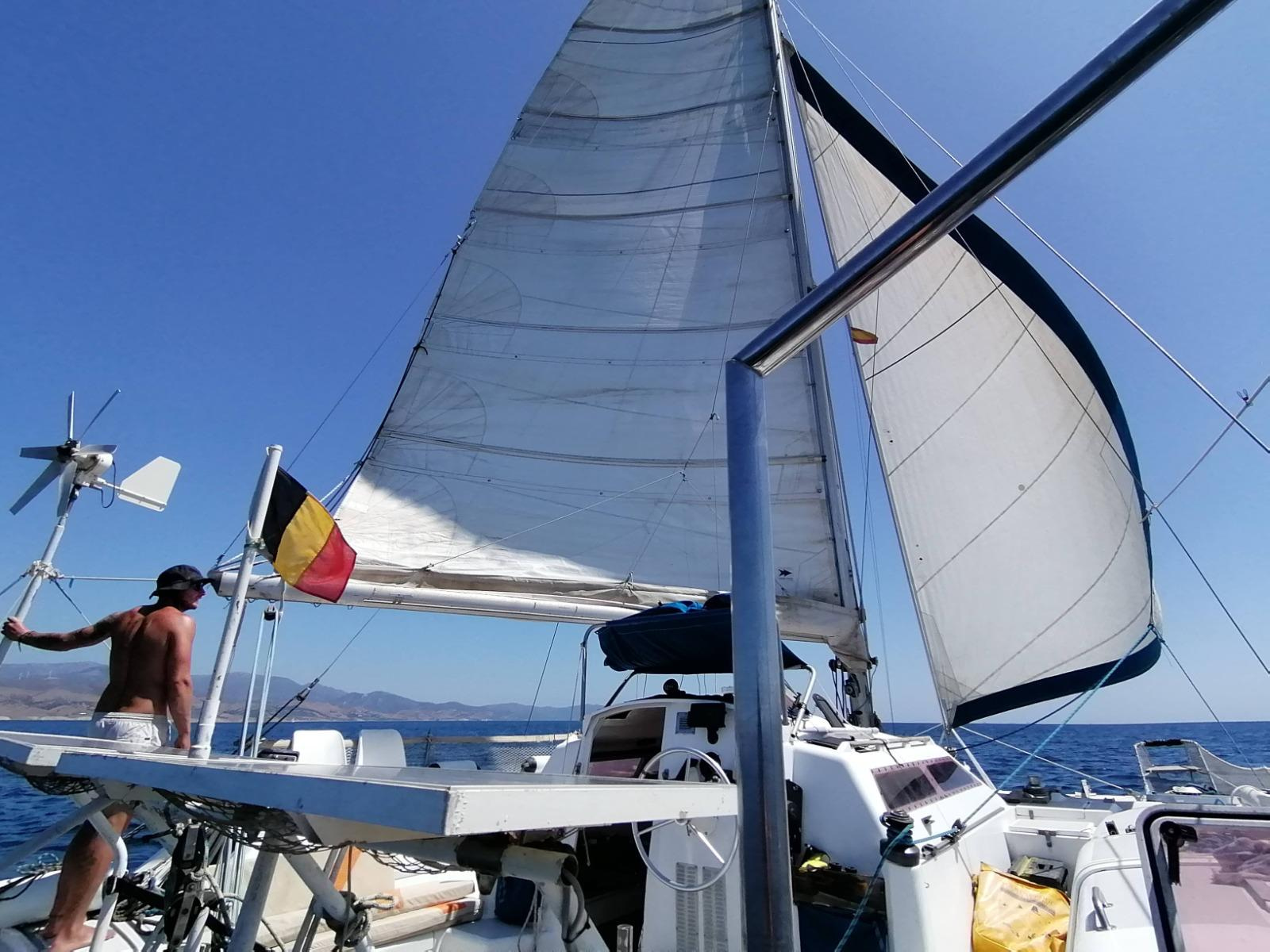 1992 Edelcat Edelcat en venta (photo 21)