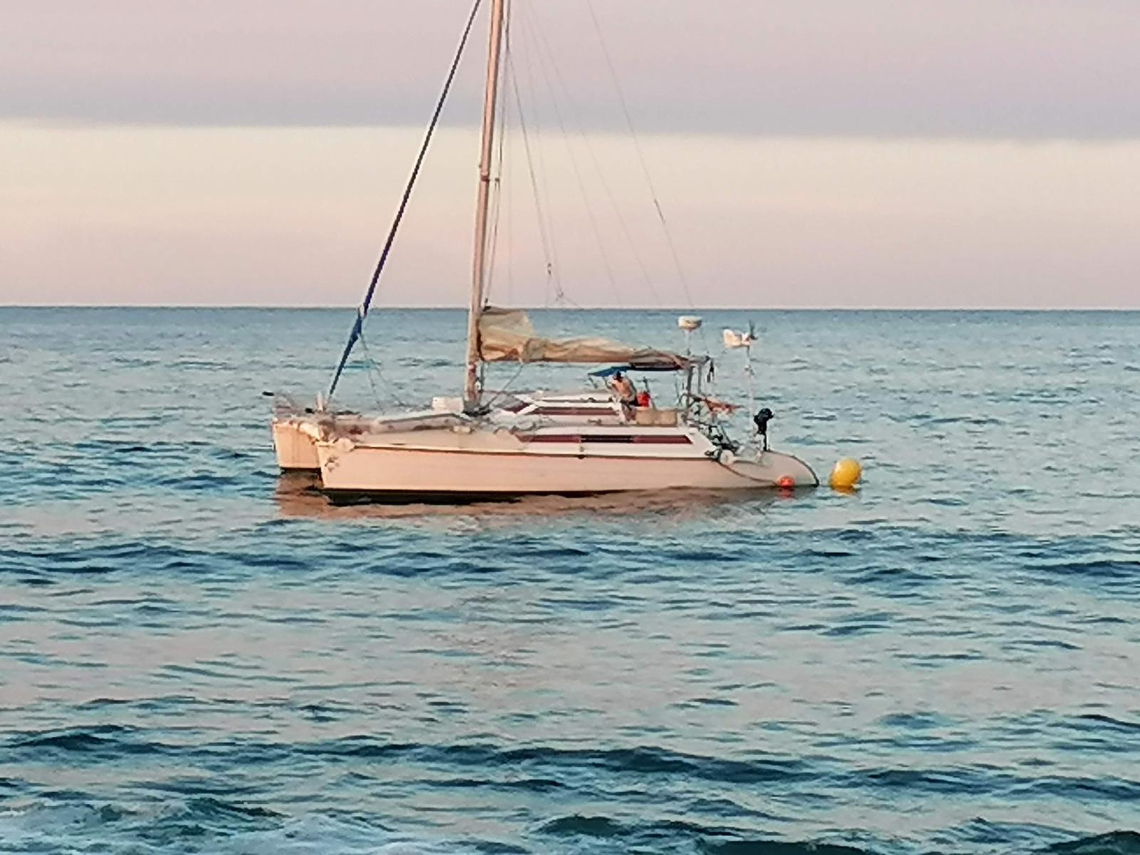 1992 Edelcat Edelcat en venta (photo 24)