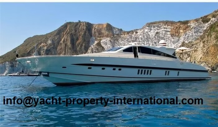 2004 Leopard 88 zu verkaufen (photo 1)