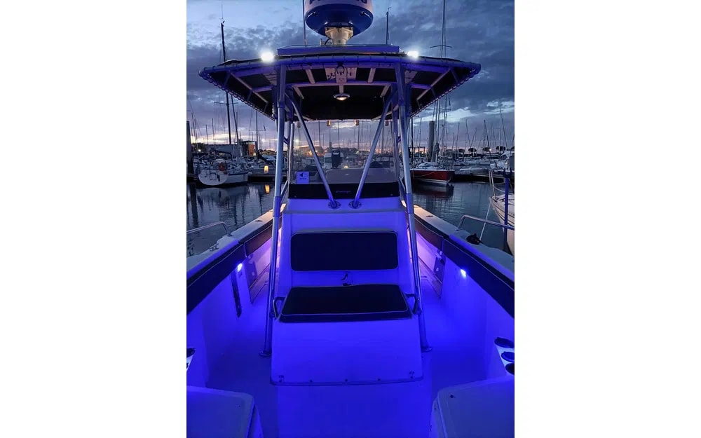2001 Boston Whaler 26 Outrage for sale (photo 3)
