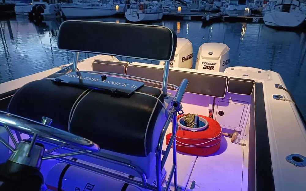 2001 Boston Whaler 26 Outrage for sale (photo 12)