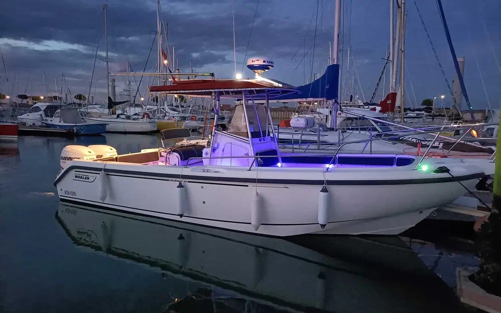 2001 Boston Whaler 26 Outrage for sale (photo 13)