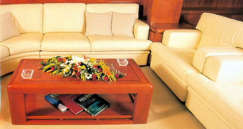 2001 C.T.M. Falcon 100 te koop (photo 6)