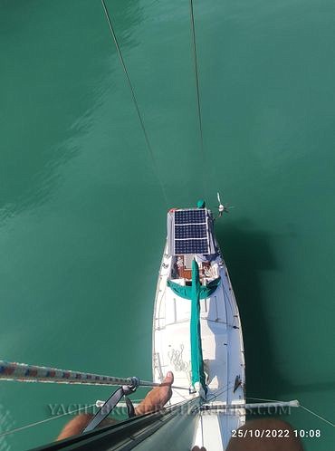 1979 Amel 40 Custom Sloop à vendre (photo 3)