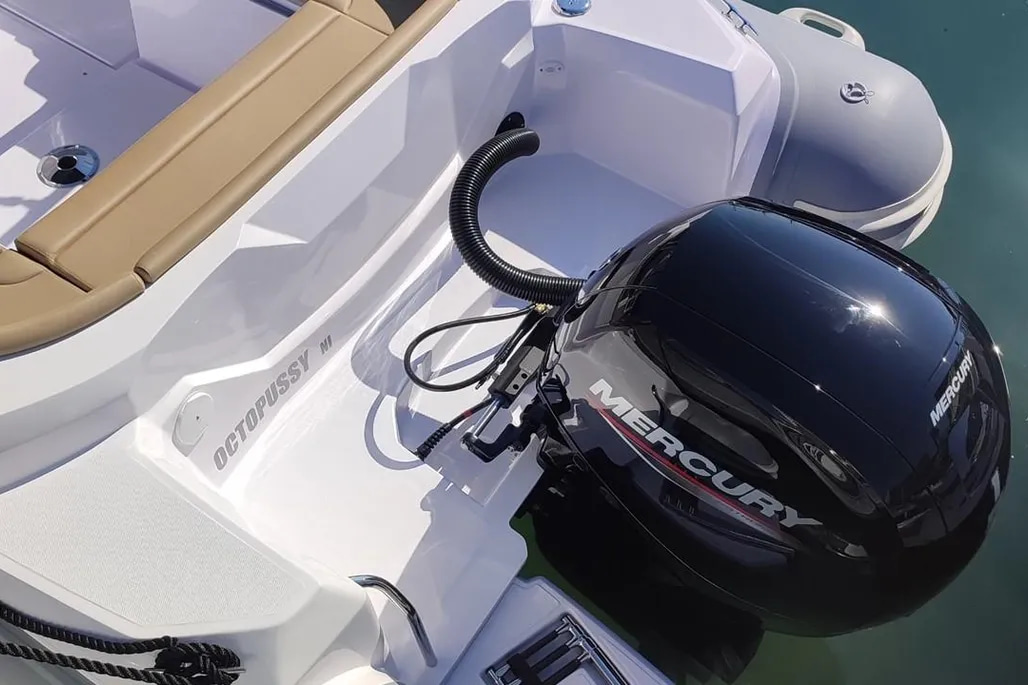 2023 Italboats Predator 650 na sprzedaż (photo 4)
