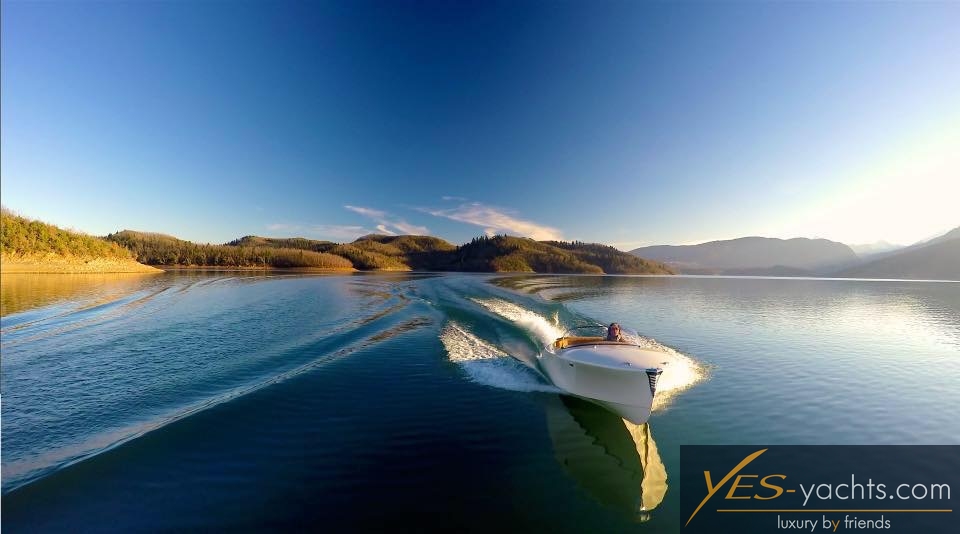 2017 Weber MPE 850 Marine TC te koop (photo 11)