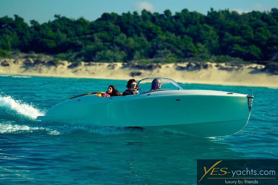 2017 Weber MPE 850 Marine TC te koop (photo 13)