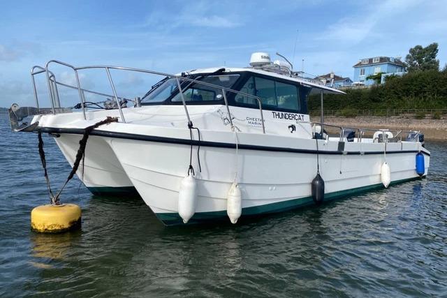 2017 Cheetah Marine 11.2M Series in vendita (photo 2)