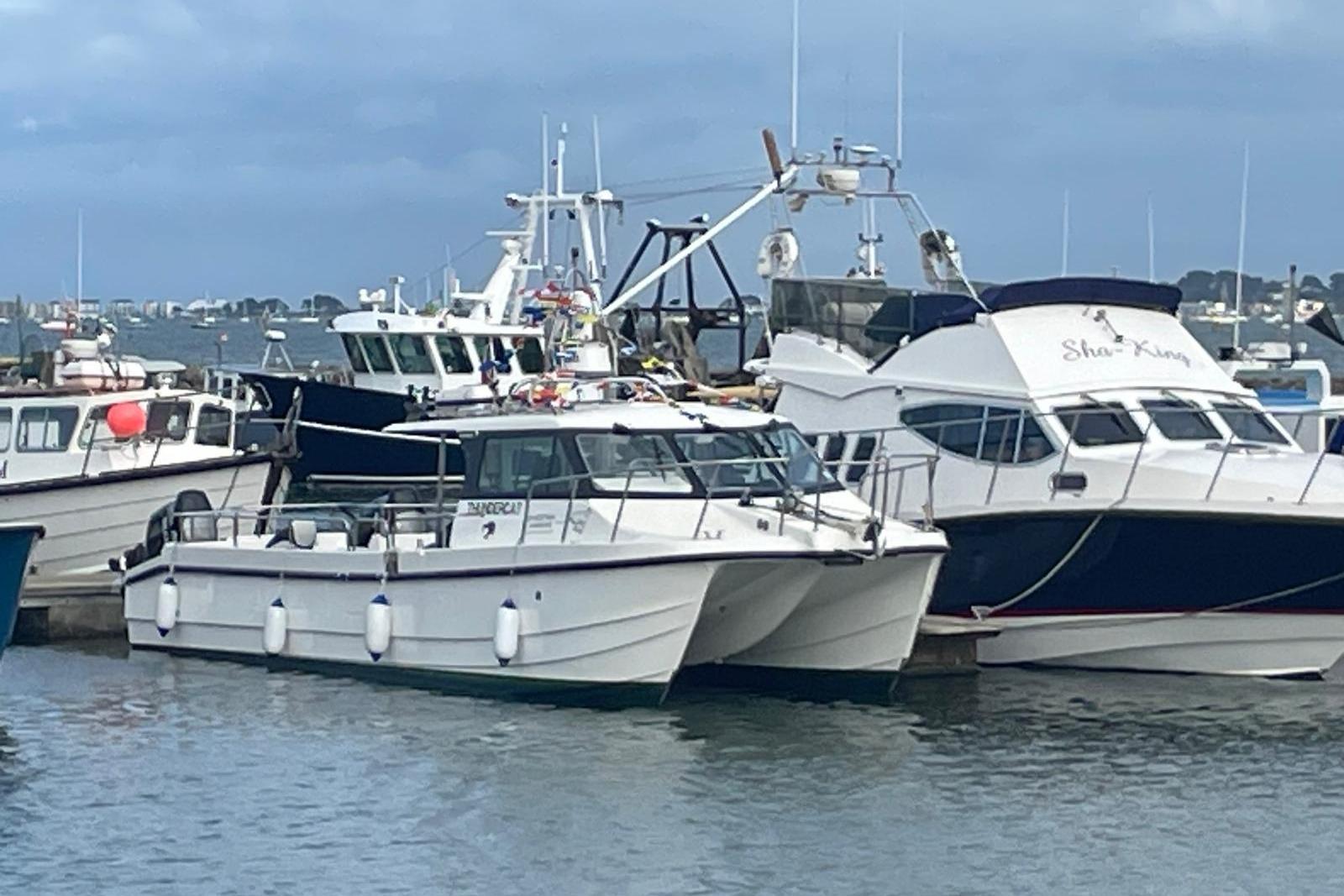 2017 Cheetah Marine 11.2M Series in vendita (photo 4)