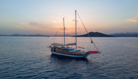 2025 Princess 61 à louer (photo 15)