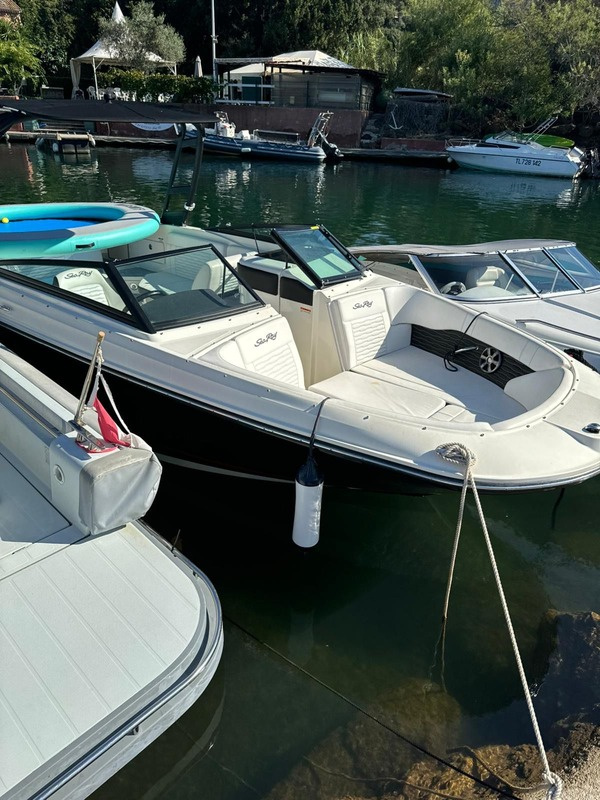 2020 Sea Ray SDX 230 à vendre (photo 2)