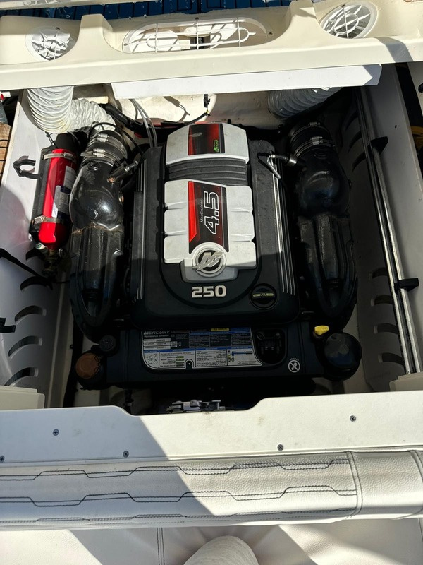 2020 Sea Ray SDX 230 à vendre (photo 12)