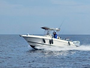Wellcraft Scarab 26