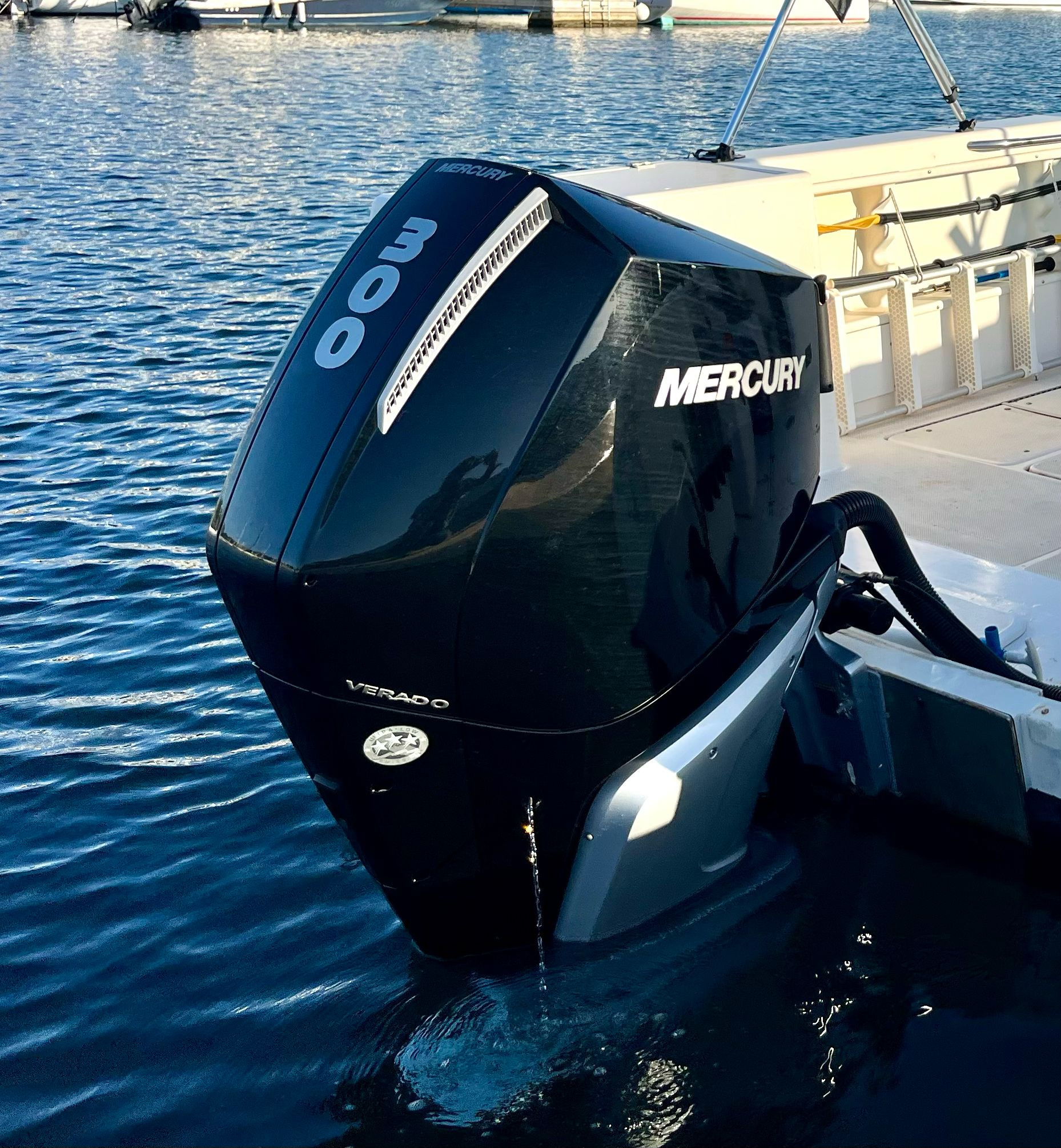 1999 Seaswirl Striper 755 in vendita (photo 2)