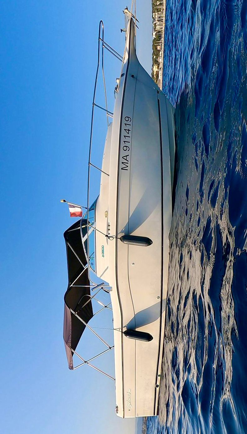 1999 Seaswirl Striper 755 in vendita (photo 3)