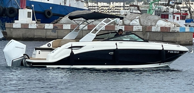 2023 Sea Ray 250 SDX OB zu verkaufen (photo 4)