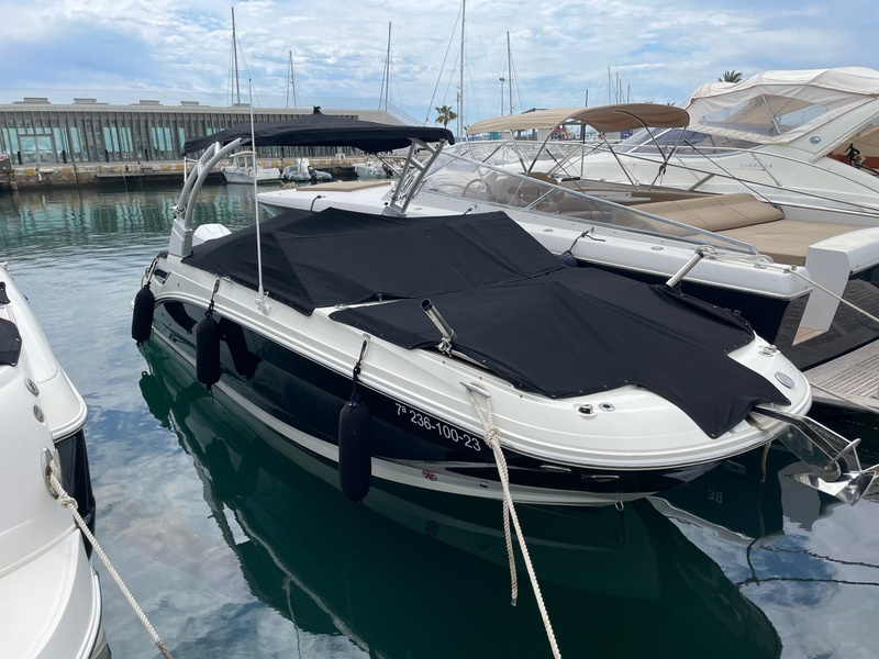 2023 Sea Ray 250 SDX OB zu verkaufen (photo 5)