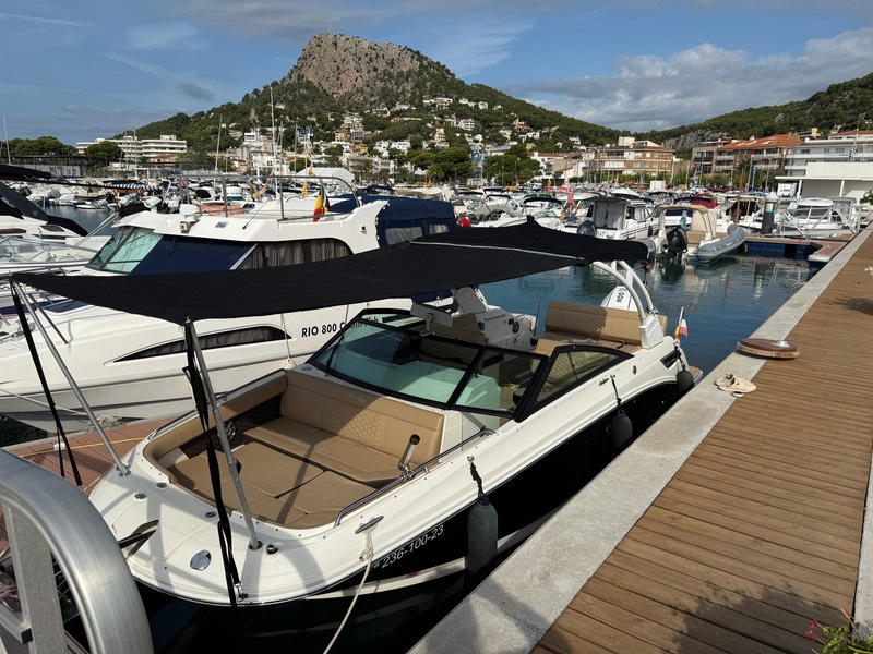 2023 Sea Ray 250 SDX OB zu verkaufen (photo 6)