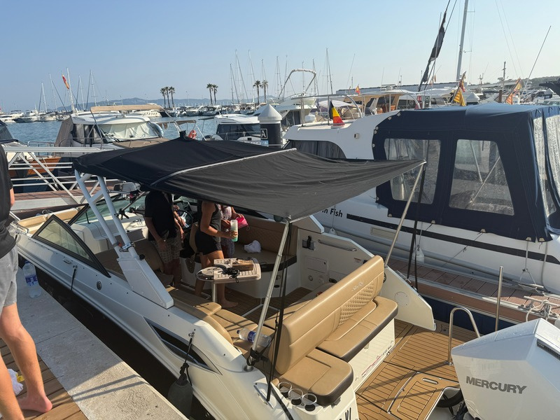 2023 Sea Ray 250 SDX OB zu verkaufen (photo 7)