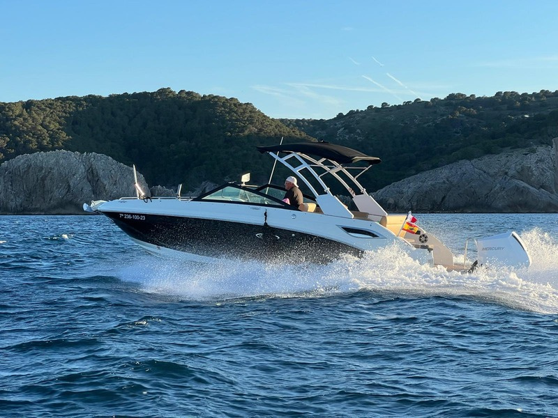 2023 Sea Ray 250 SDX OB zu verkaufen (photo 17)