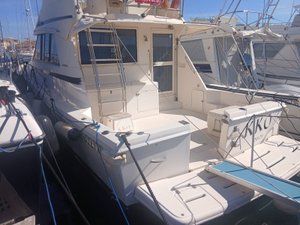 Riviera 39