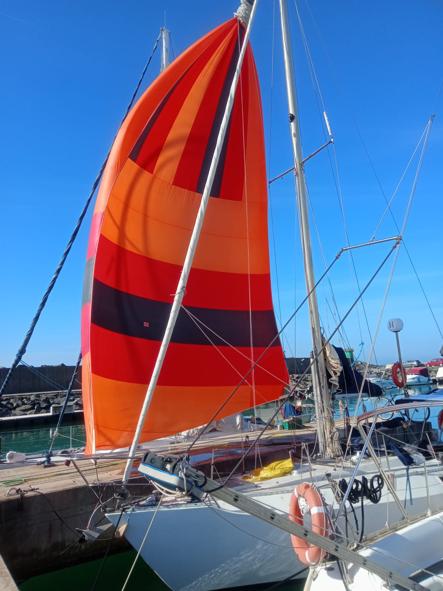 1975 Cbs Harmony te koop (photo 9)