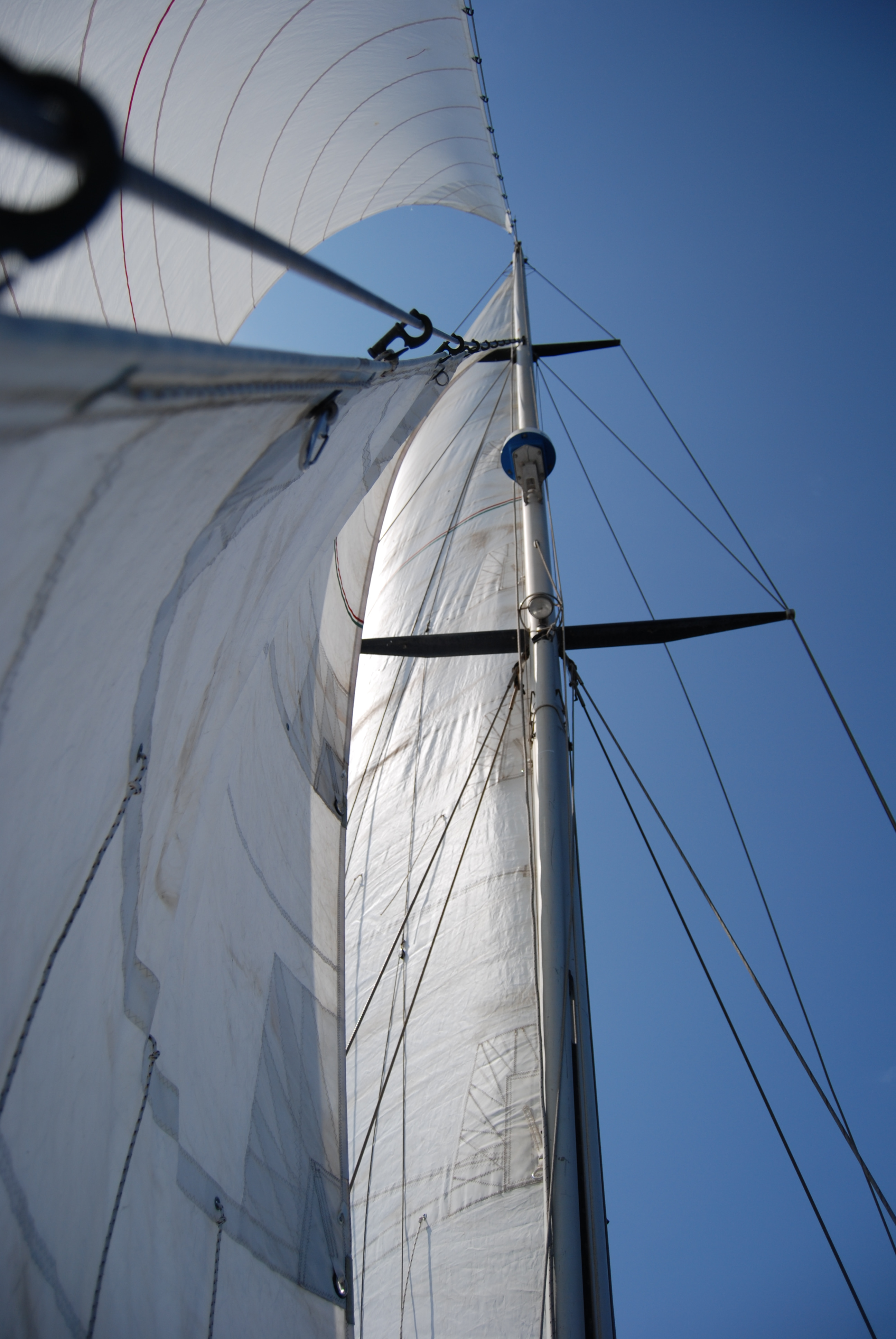 1997 Acquamarine Cutter te koop (photo 8)