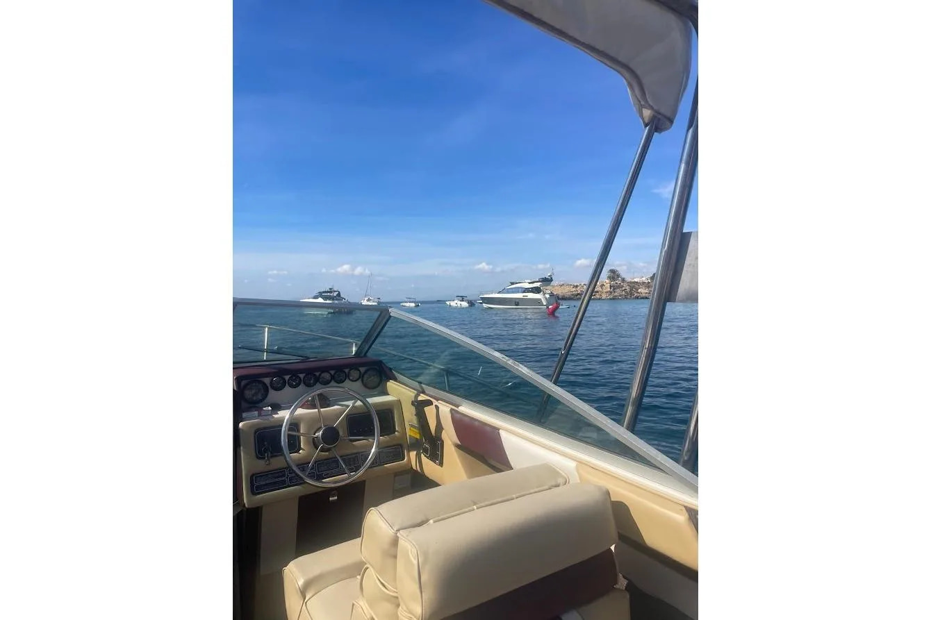 1989 Sea Ray 210 zu verkaufen (photo 3)