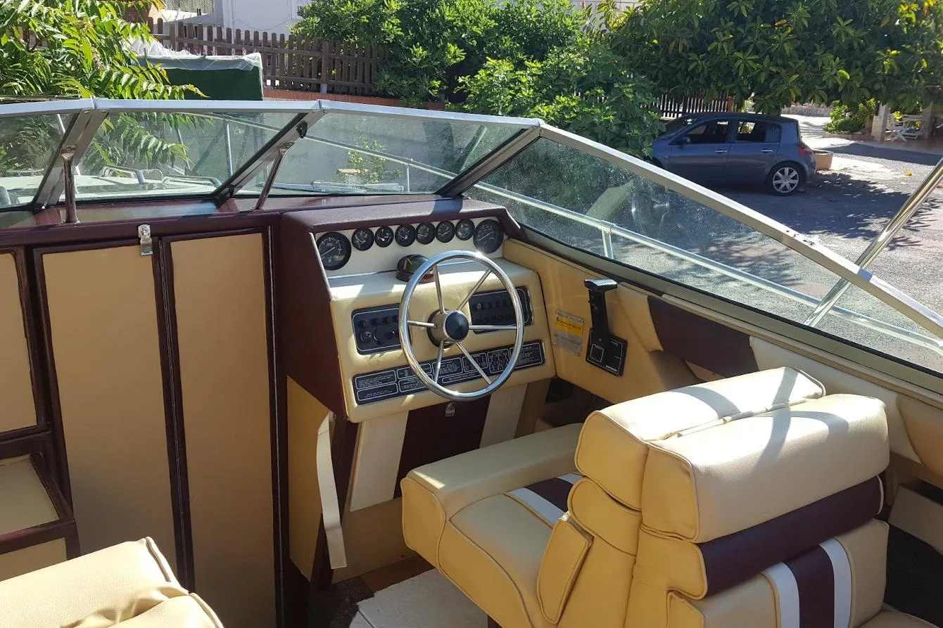 1989 Sea Ray 210 zu verkaufen (photo 7)