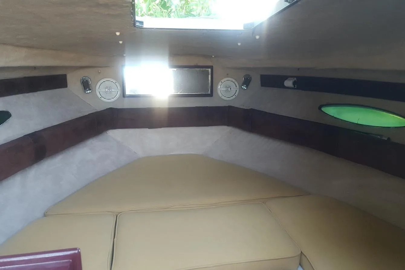1989 Sea Ray 210 zu verkaufen (photo 9)