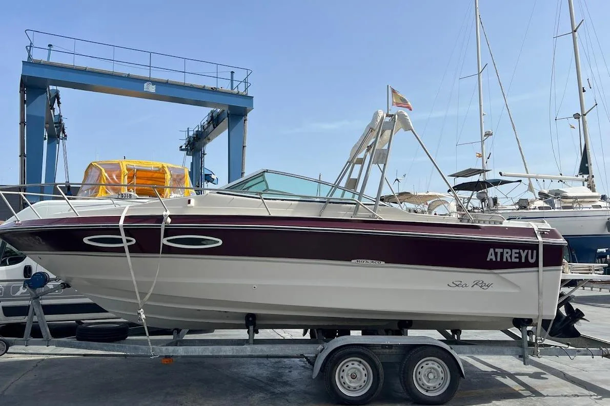 1989 Sea Ray 210 zu verkaufen (photo 10)