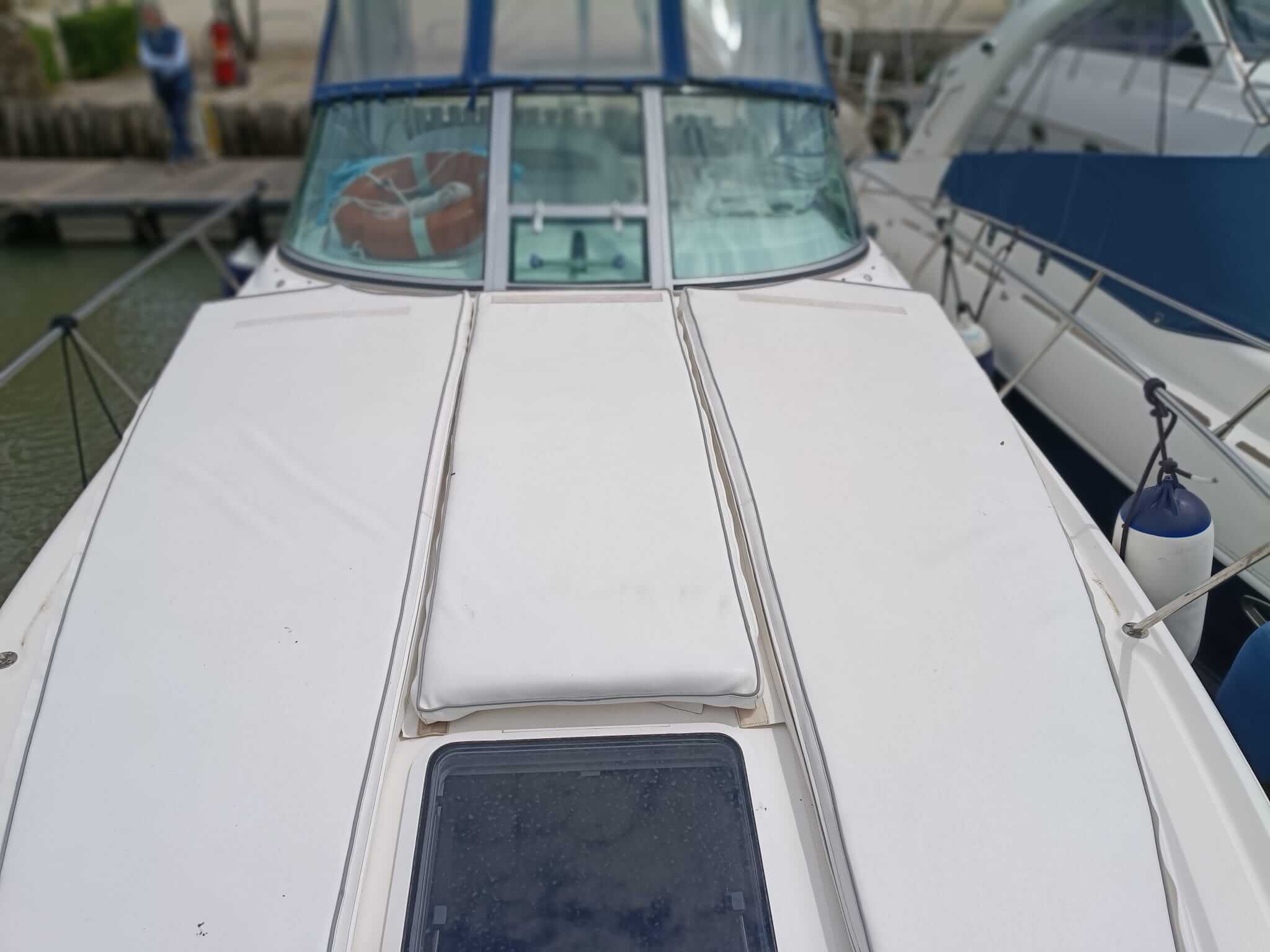 2007 Sea Ray 335 Sundancer in vendita (photo 4)