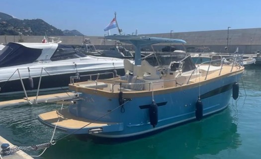 2024 Patrone 100 DELUXE for sale (photo 3)