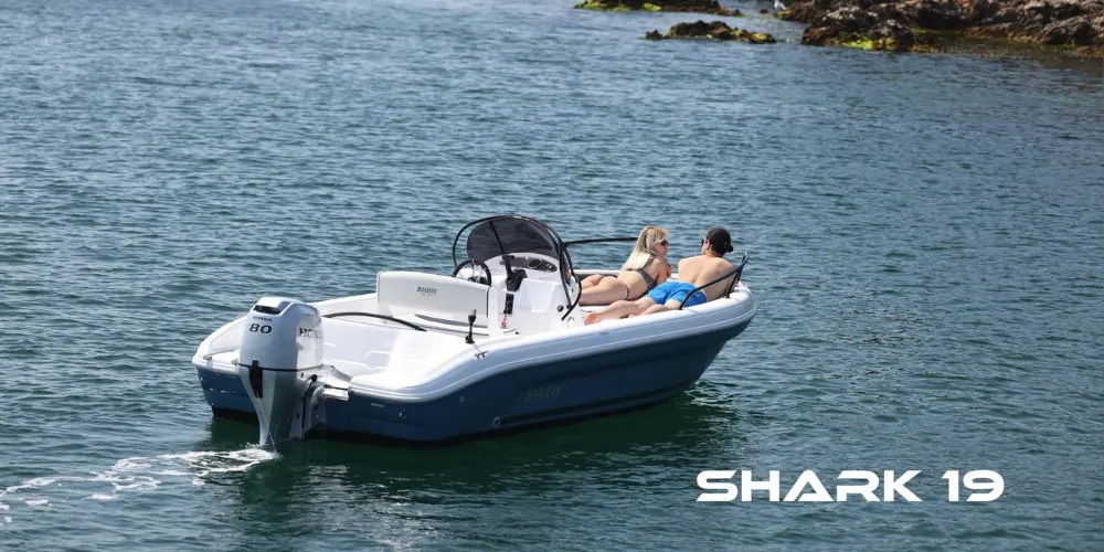 2026 Ranieri Shark 19 à vendre (photo 2)