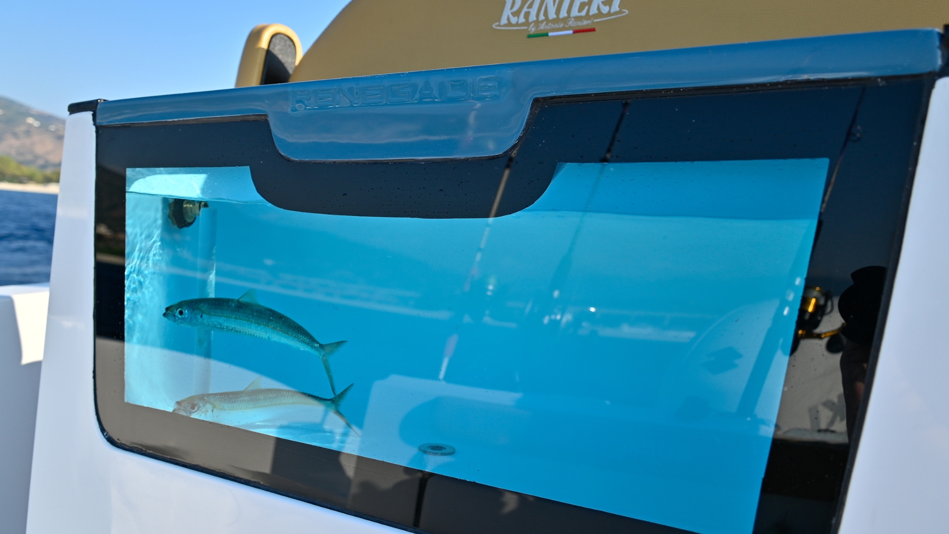 2026 Ranieri Renegade 22 en venta (photo 10)
