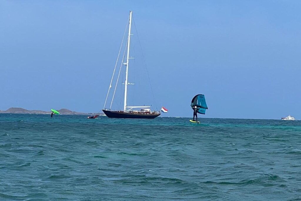 2000 Marcelo Penna Classic Cutter 25M na sprzedaż (photo 11)