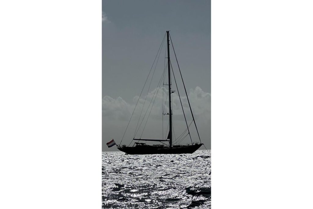 2000 Marcelo Penna Classic Cutter 25M na sprzedaż (photo 12)