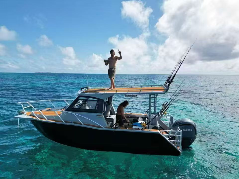 2026 Finish Line 6.5m Sports Fishing Range zu verkaufen (photo 8)