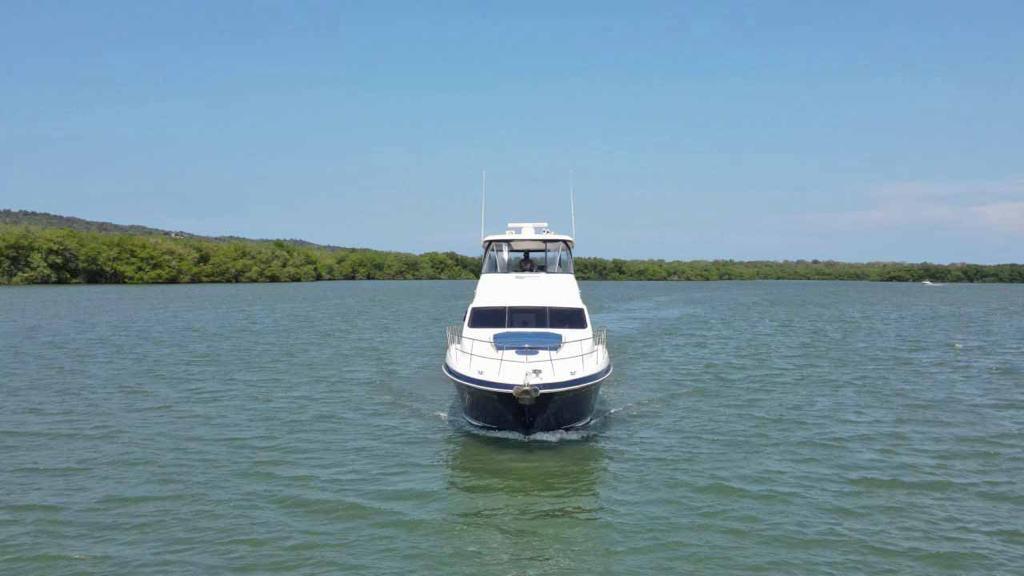 2005 Sea Ray Sedan Bridge in vendita (photo 2)