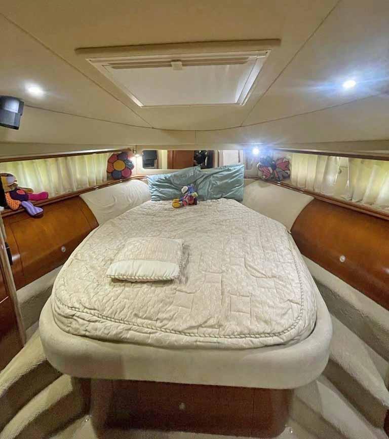 2005 Sea Ray Sedan Bridge in vendita (photo 30)